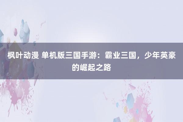 枫叶动漫 单机版三国手游：霸业三国，少年英豪的崛起之路