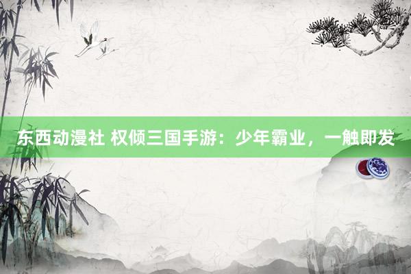 东西动漫社 权倾三国手游：少年霸业，一触即发