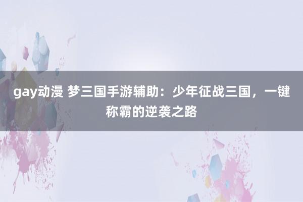 gay动漫 梦三国手游辅助：少年征战三国，一键称霸的逆袭之路